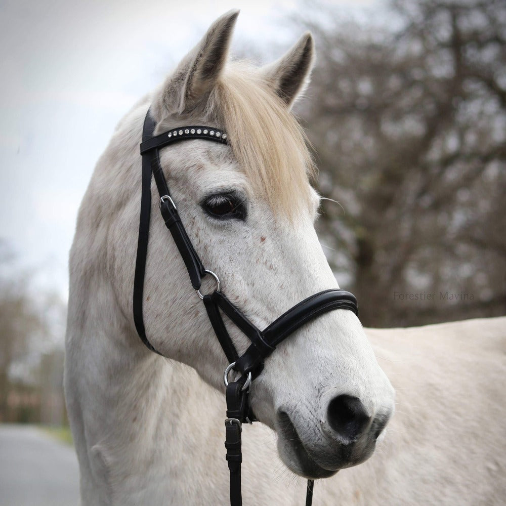 FRONTAL - Metis Blanc