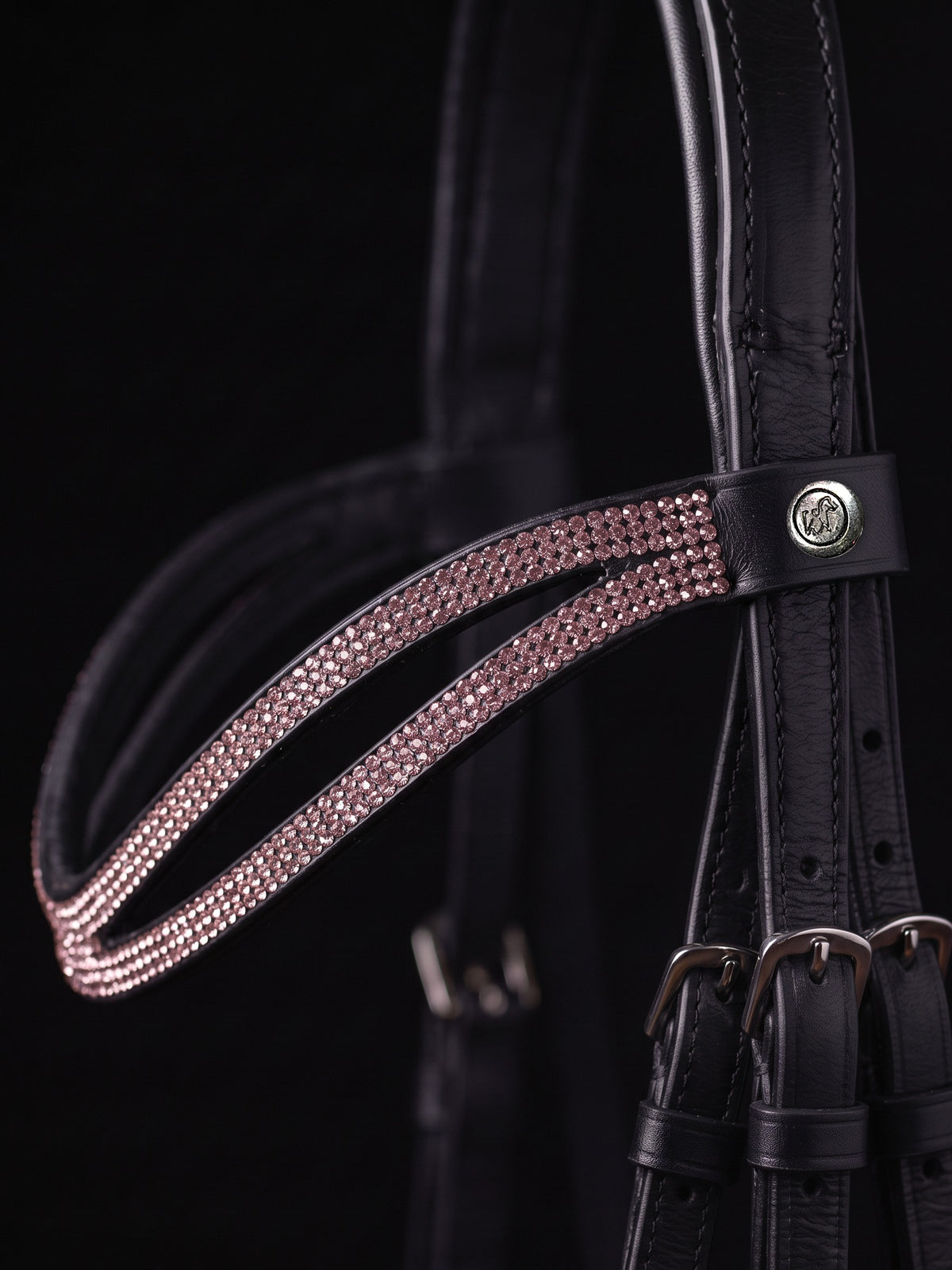 Frontal Eris Rose sur fond noir, cuir noir (image de synthèse)