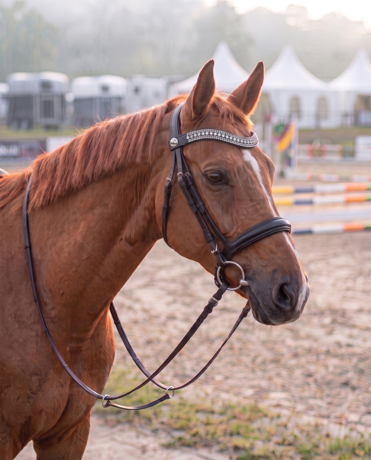 Frontal Hestia porté par un cheval alezan, cuir noir (image de synthèse)