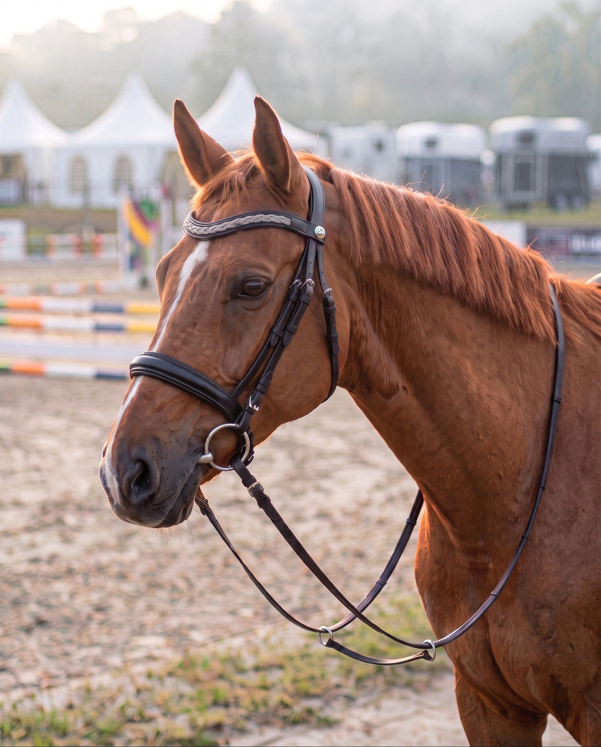 Frontal Theïa Cristal porté par un cheval alezan, cuir noir (image de synthèse)