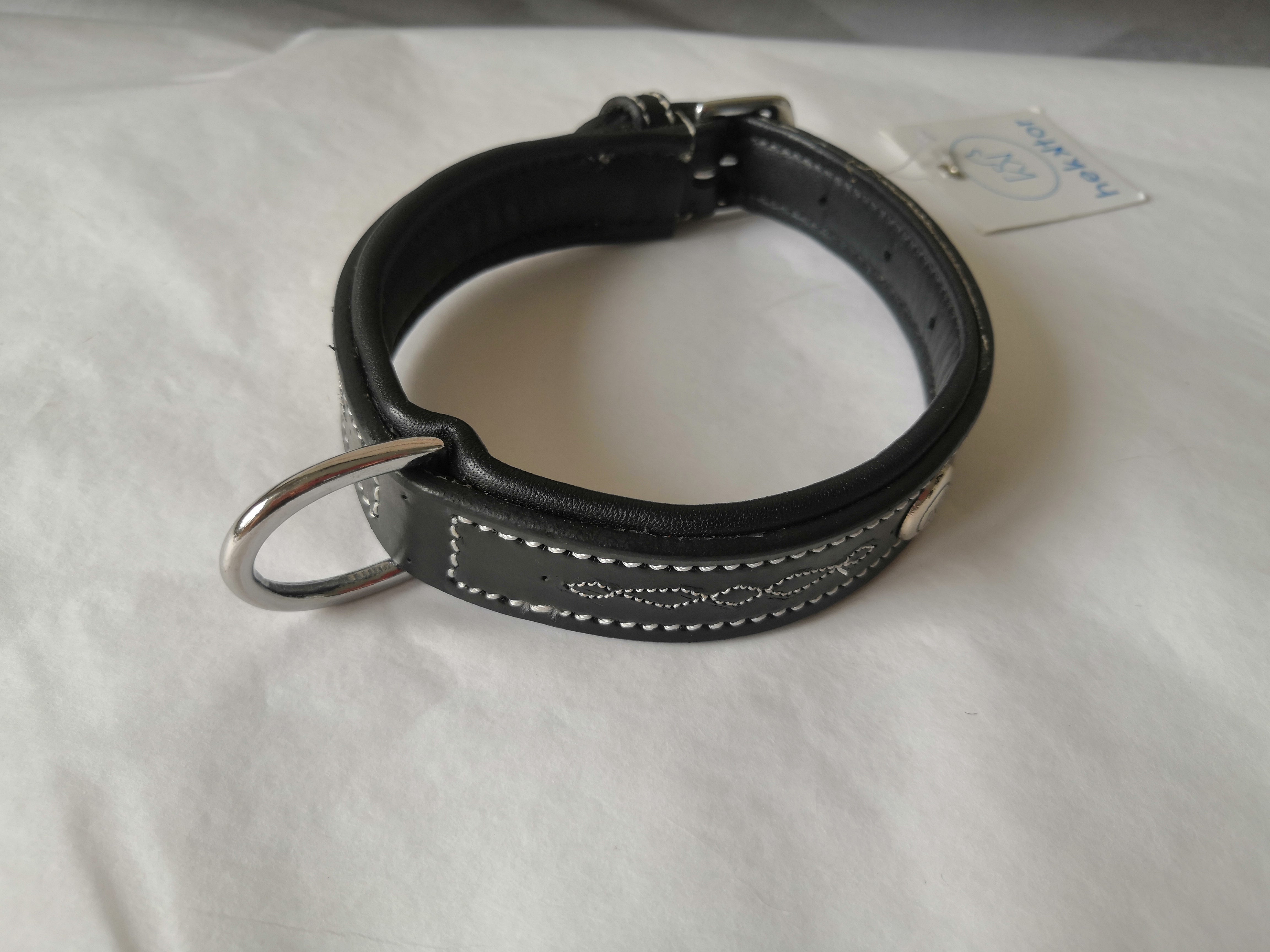 COLLIER POUR CHIEN - Odin