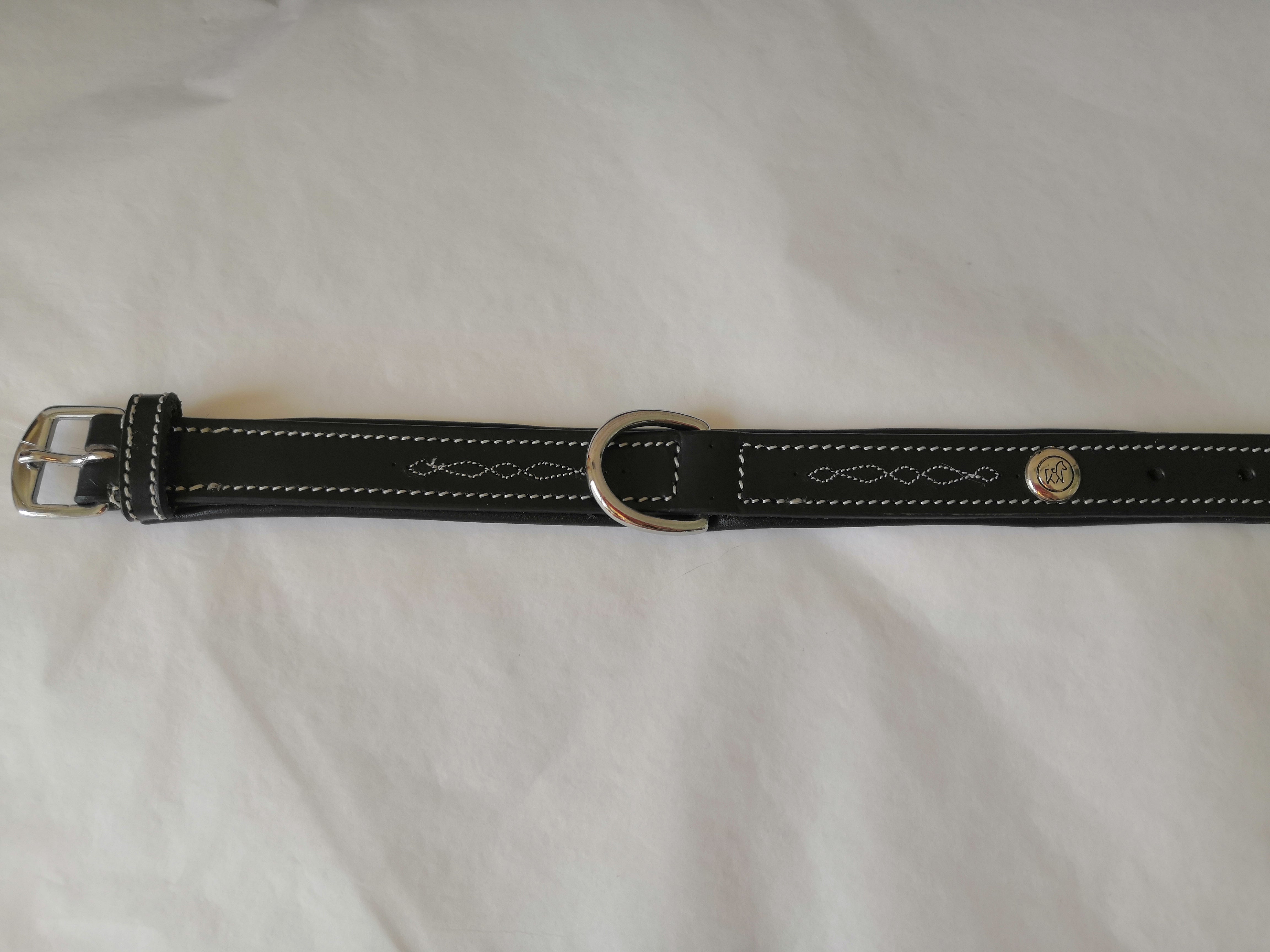 COLLIER POUR CHIEN - Odin