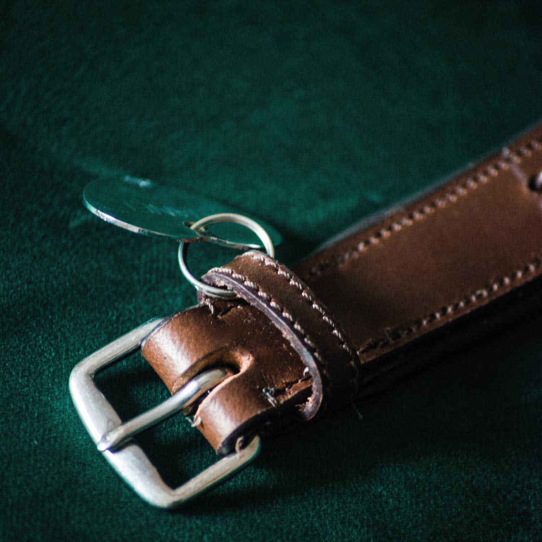 COLLIER POUR CHIEN - Thor