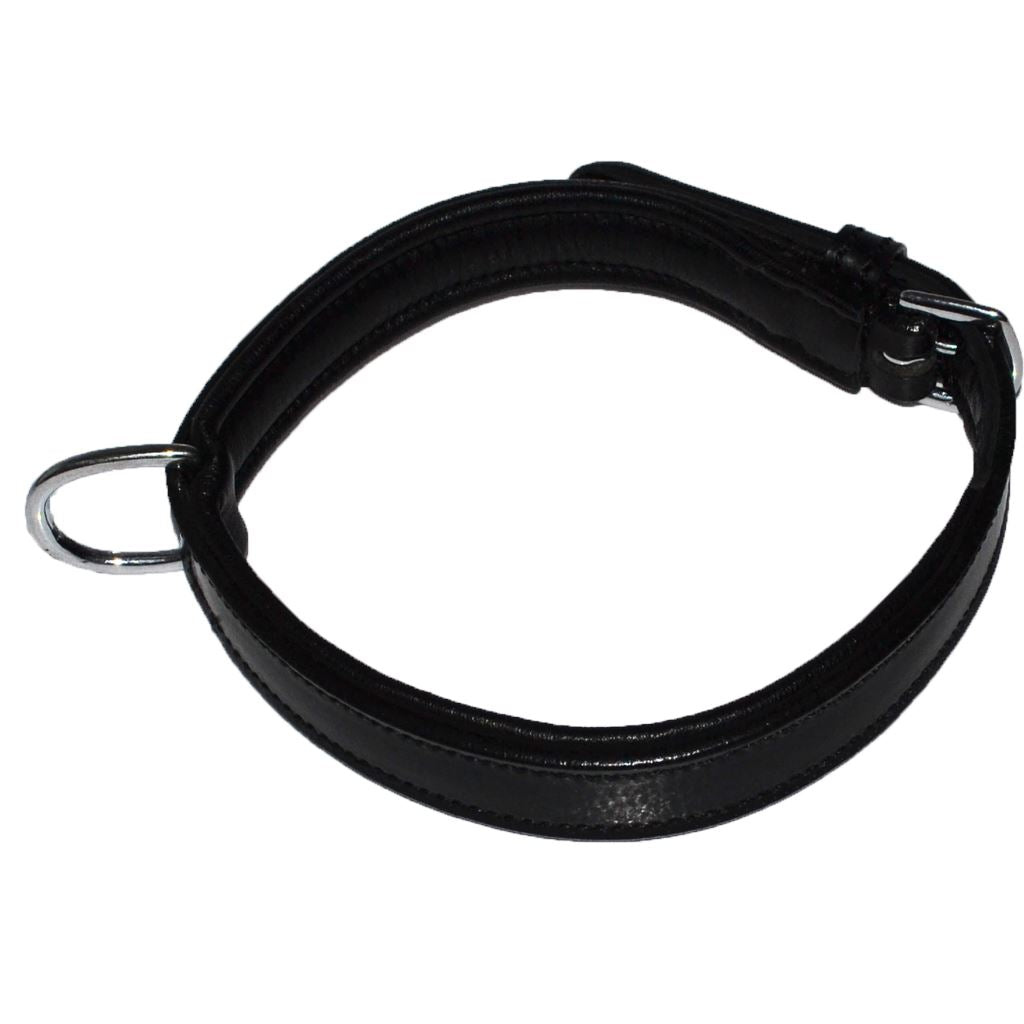 COLLIER POUR CHIEN - Bor Colliers pour chien Hekktor S Noir