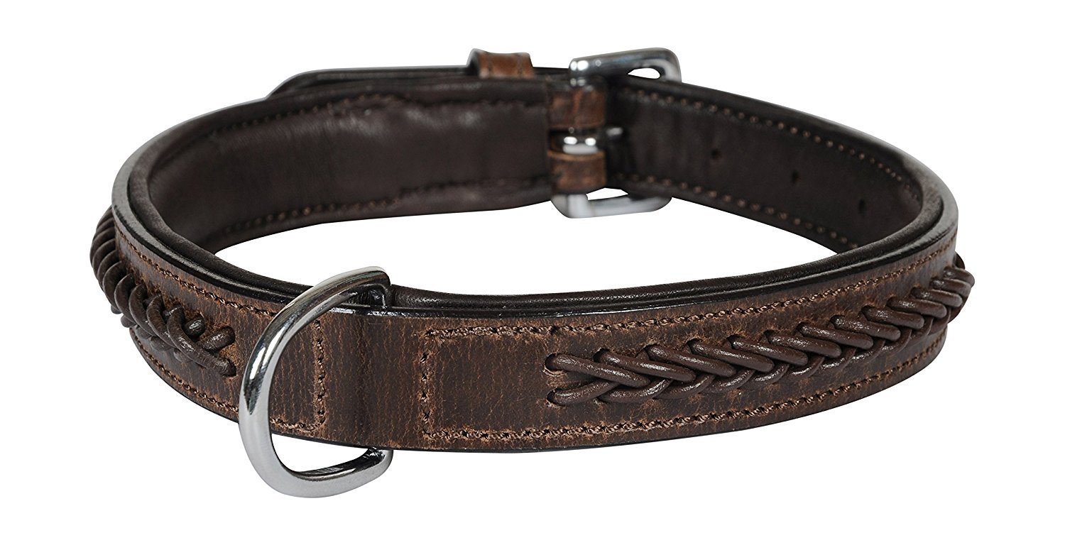 COLLIER POUR CHIEN - Thor Colliers pour chien Hekktor S Malt