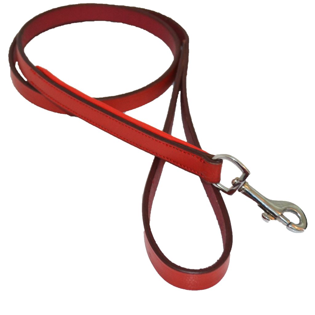 LAISSE POUR CHIEN - BOR 120 cm Laisses pour chien hekktor Rouge