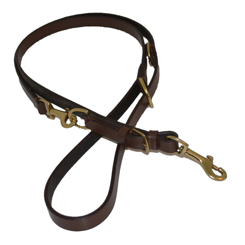 LAISSE POUR CHIEN - BOR 200 cm Laisses pour chien hekktor Havanne