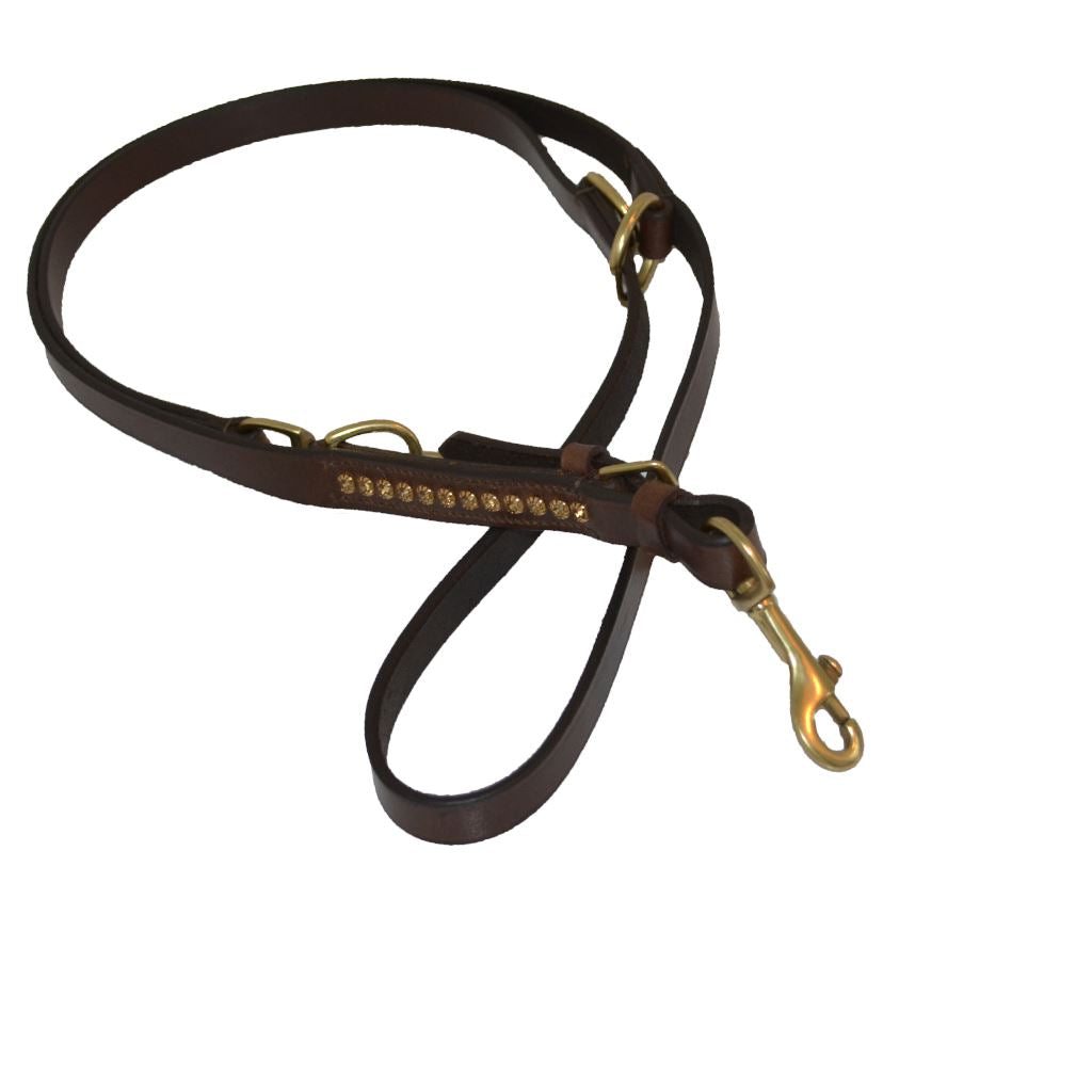 LAISSE POUR CHIEN - MEILI 200 cm Laisses pour chien hekktor Malt