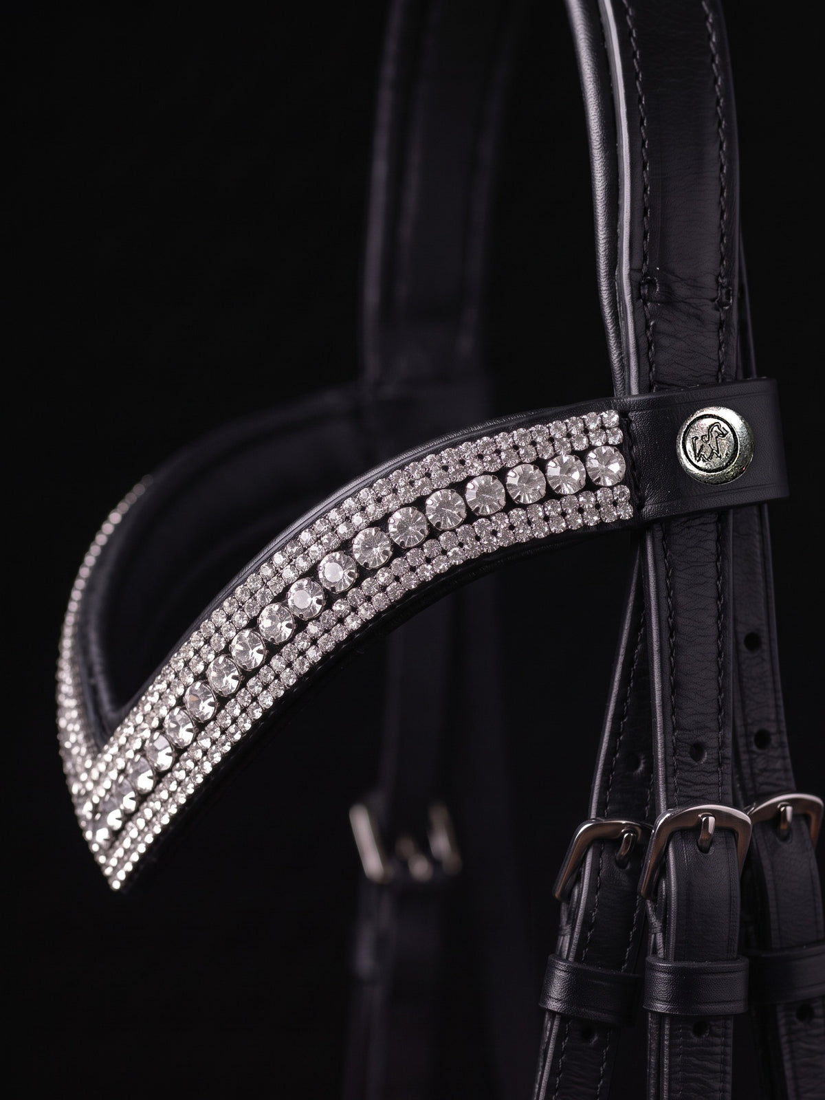 Frontal Aphrodite sur fond noir, cuir noir (image de synthèse)