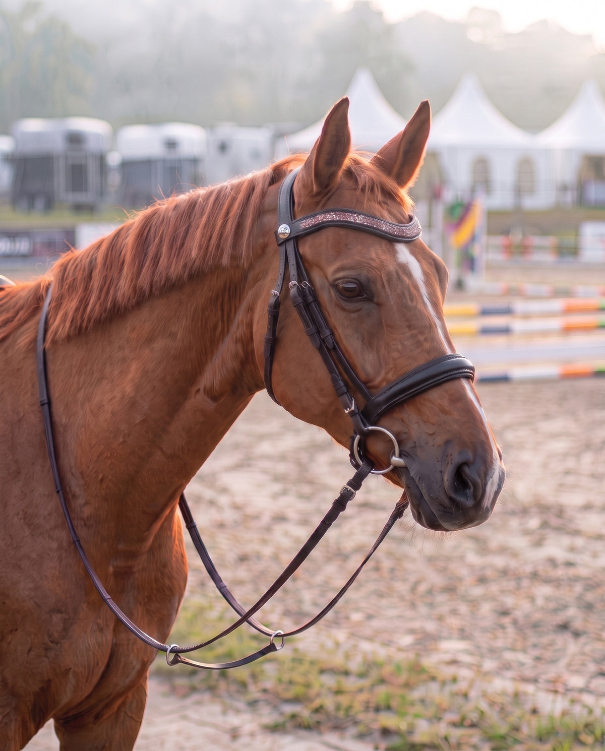 Frontal Artémis Pêche porté par un cheval alezan, cuir noir (image de synthèse)