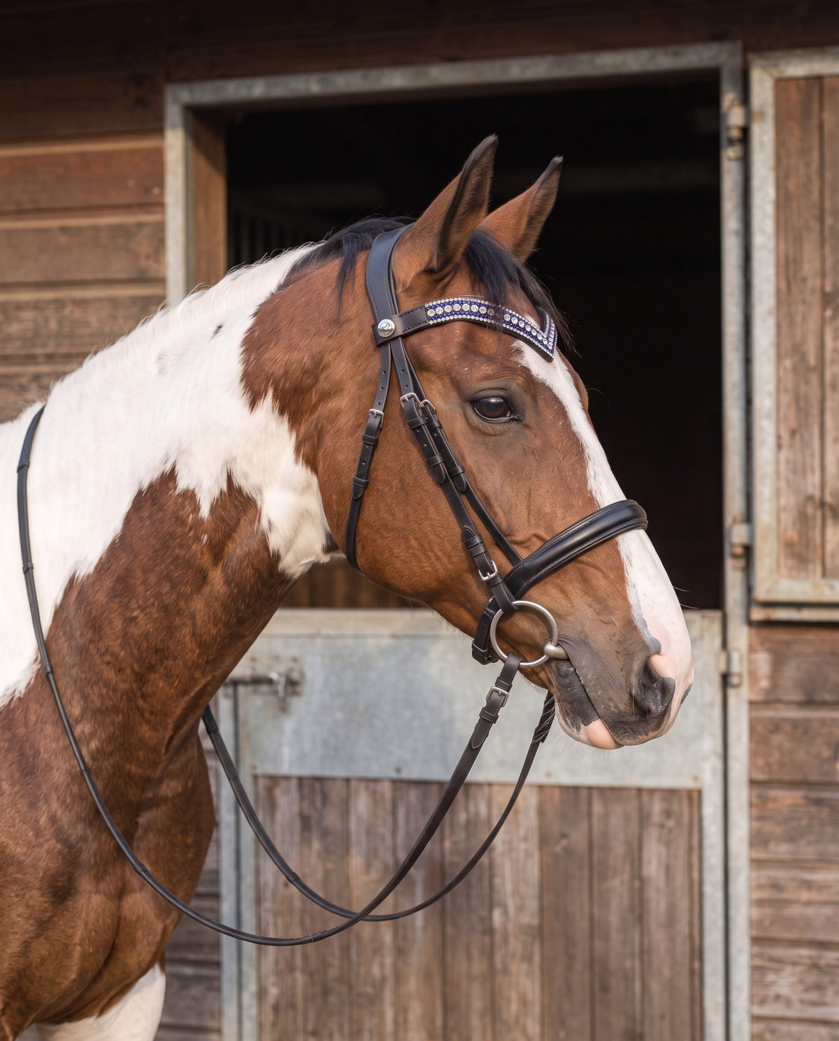 Frontal Gamin porté par un cheval pie, cuir noir (image de synthèse)