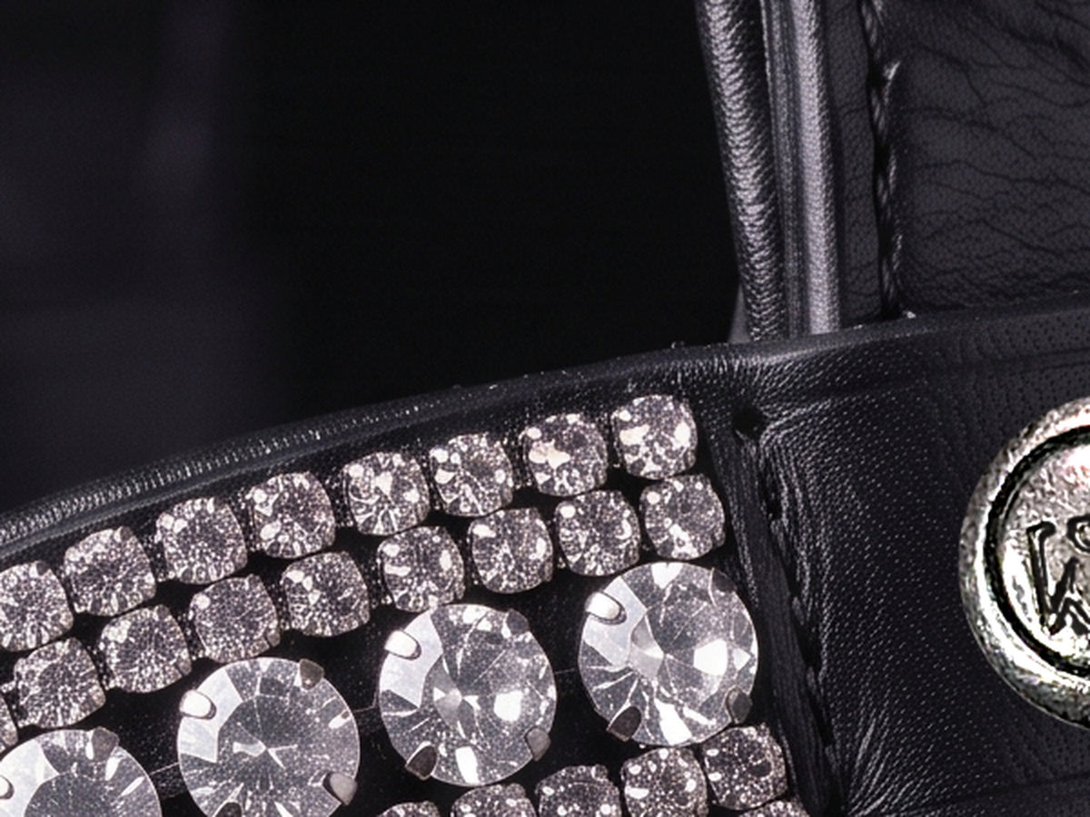 Gros plan de la bande de strass du frontal Hestia au passant, cuir noir (image de synthèse)