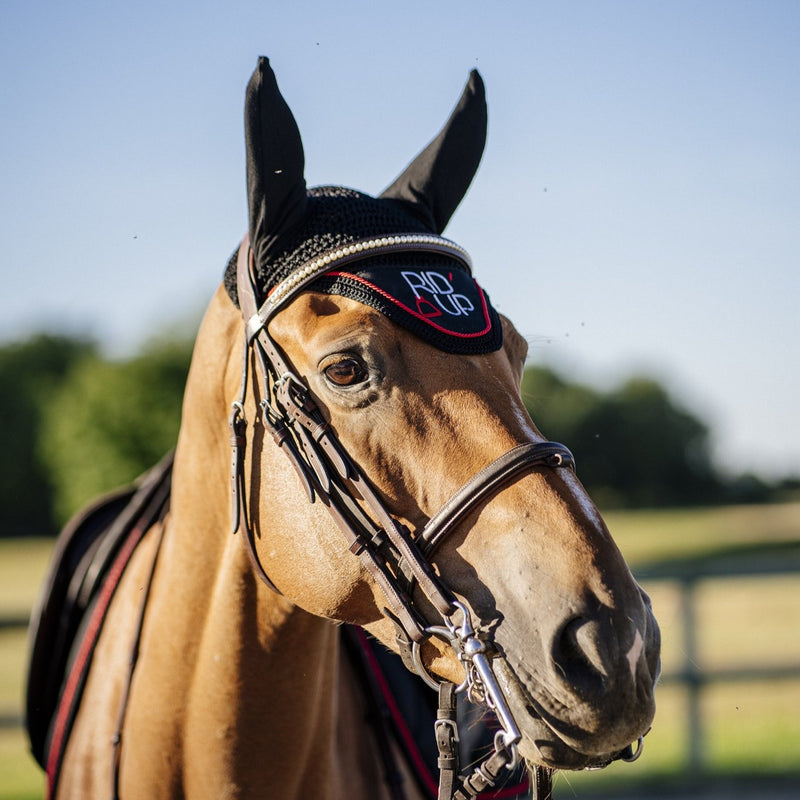 FRONTAL - Apollon