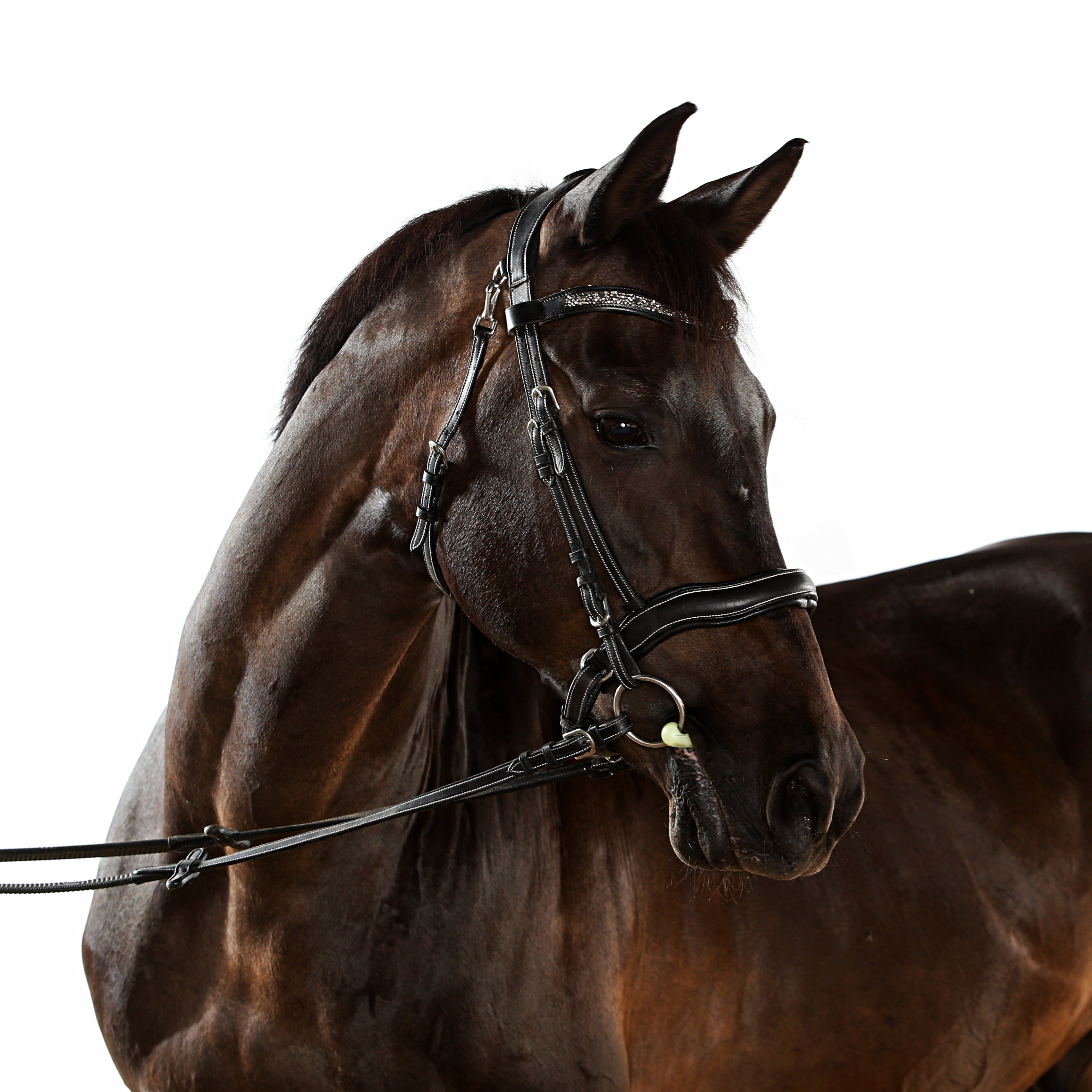 FRONTAL - Artemis