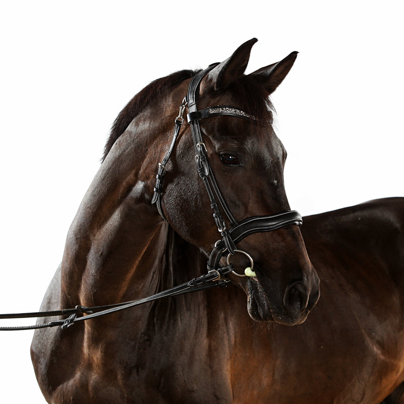 FRONTAL - Artemis