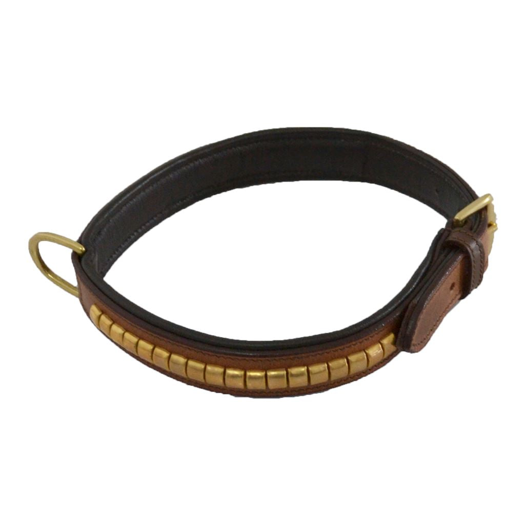 COLLIER POUR CHIEN - Loki Colliers pour chien Hekktor S Malt 